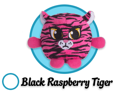 Black Raspberry Tiger