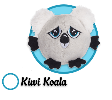 Kiwi Koala