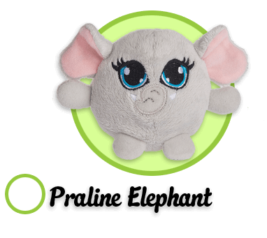 Praline Elephant