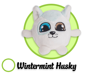 Wintermint Husky
