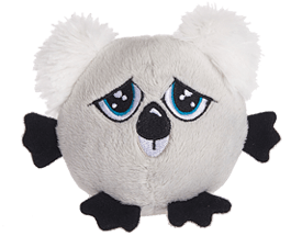 Kiwi Koala